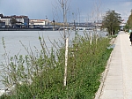 14_rhone_0342