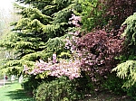 15_rhone_0339