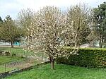 1_chavenay_0325
