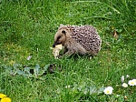 42_back_home_0398