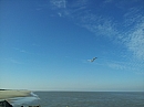 17_161203_mouette