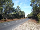 43_161204_lacanau_carcans