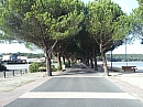60_161204_hourtin_allée